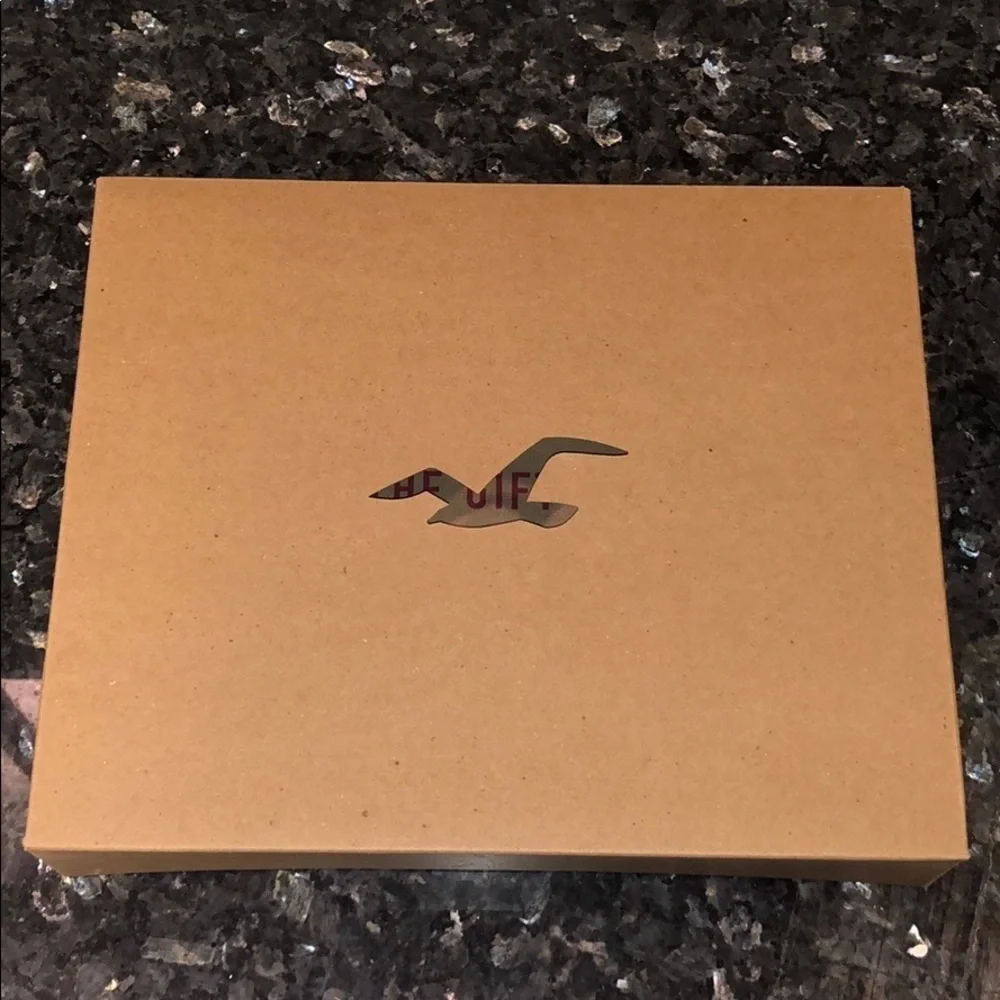 New Hollister California Medium Sized Gift Box